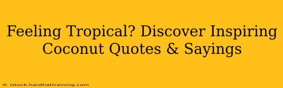 Feeling Tropical? Discover Inspiring Coconut Quotes & Sayings