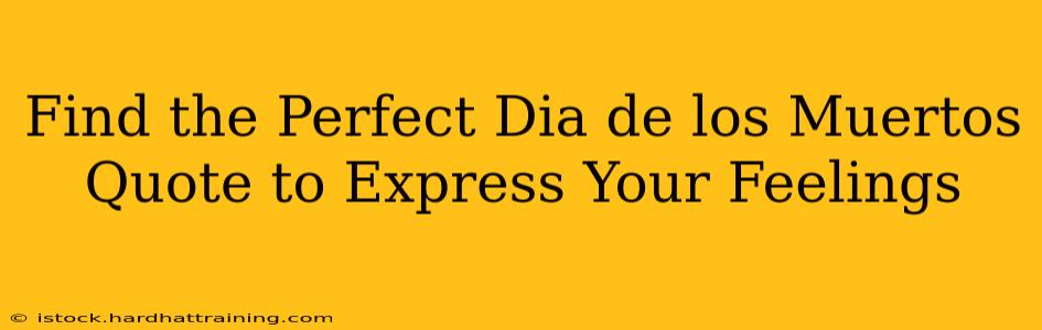 Find the Perfect Dia de los Muertos Quote to Express Your Feelings