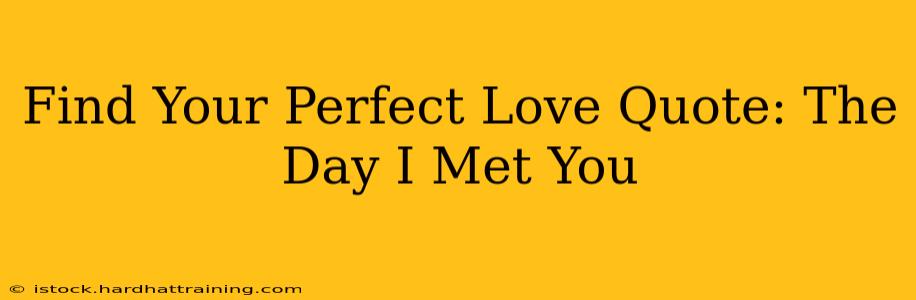 Find Your Perfect Love Quote: The Day I Met You