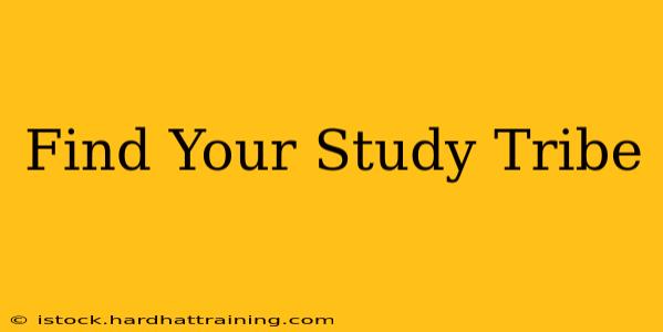 Find Your Study Tribe