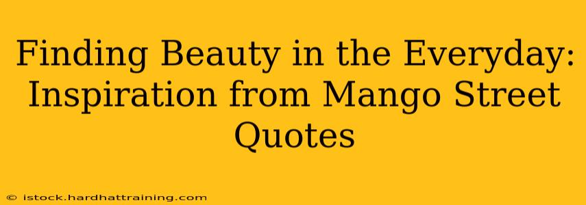 Finding Beauty in the Everyday: Inspiration from Mango Street Quotes