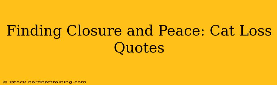 Finding Closure and Peace: Cat Loss Quotes