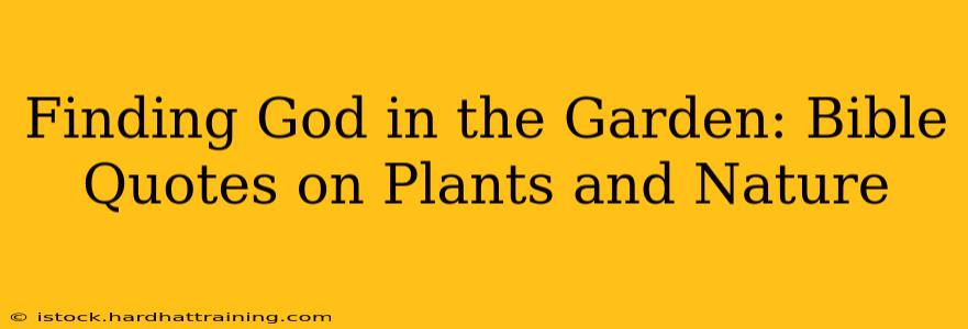 Finding God in the Garden: Bible Quotes on Plants and Nature