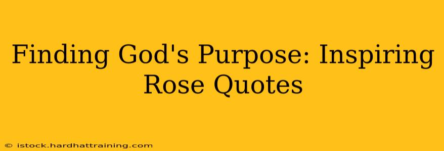 Finding God's Purpose: Inspiring Rose Quotes