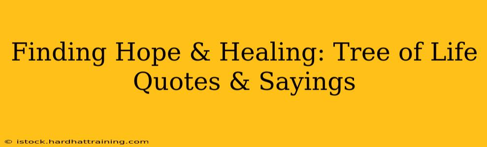 Finding Hope & Healing: Tree of Life Quotes & Sayings