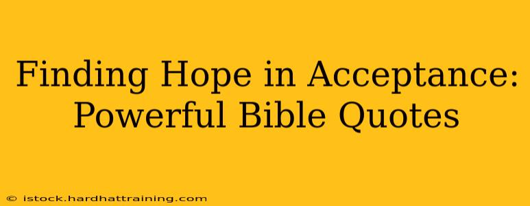 Finding Hope in Acceptance: Powerful Bible Quotes