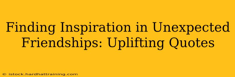 Finding Inspiration in Unexpected Friendships: Uplifting Quotes