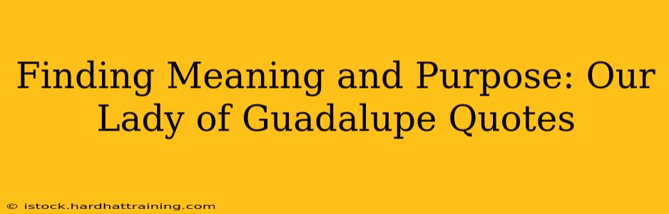 Finding Meaning and Purpose: Our Lady of Guadalupe Quotes