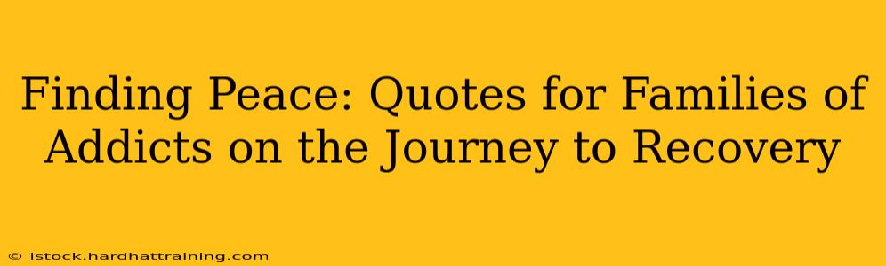Finding Peace: Quotes for Families of Addicts on the Journey to Recovery