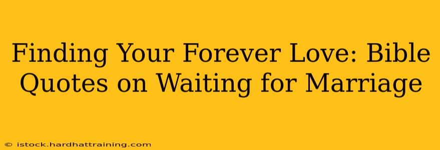 Finding Your Forever Love: Bible Quotes on Waiting for Marriage
