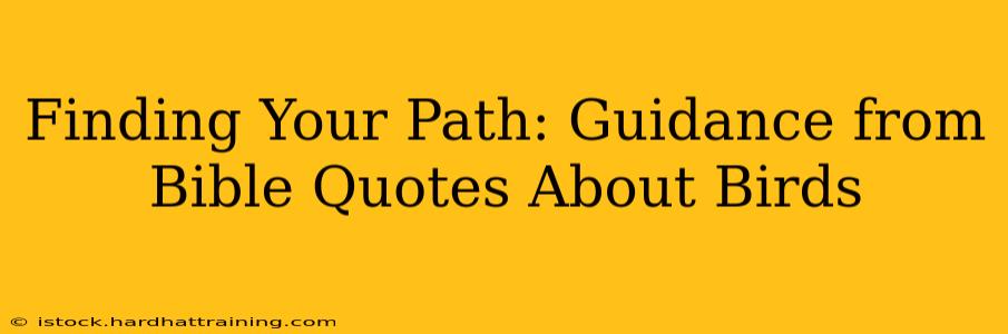 Finding Your Path: Guidance from Bible Quotes About Birds