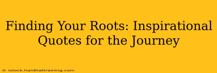Finding Your Roots: Inspirational Quotes for the Journey