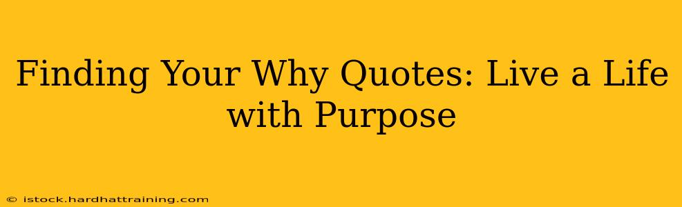 Finding Your Why Quotes: Live a Life with Purpose