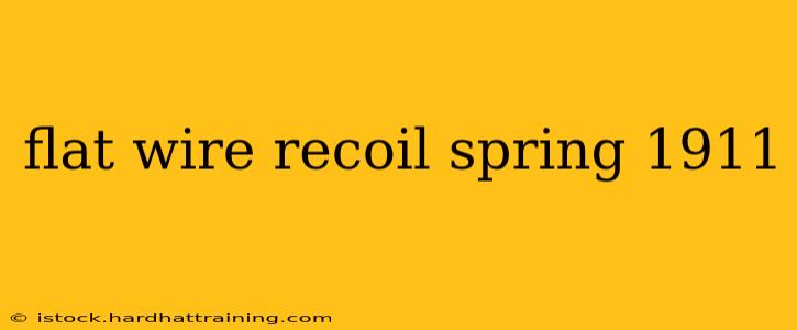 flat wire recoil spring 1911