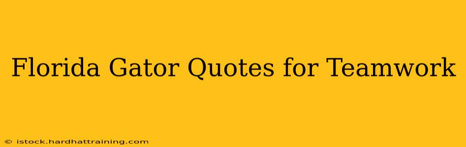 Florida Gator Quotes for Teamwork