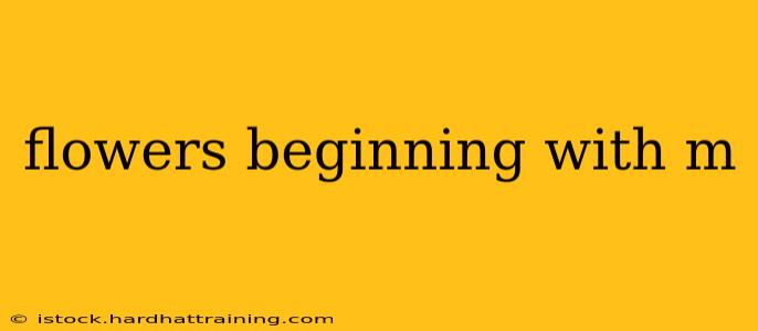 flowers beginning with m