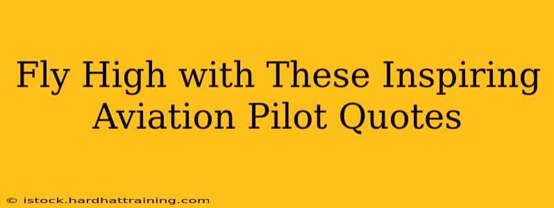 Fly High with These Inspiring Aviation Pilot Quotes