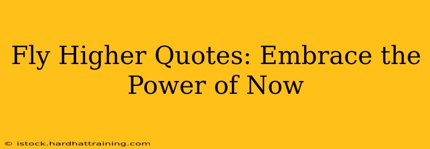 Fly Higher Quotes: Embrace the Power of Now