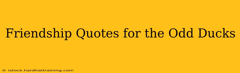 Friendship Quotes for the Odd Ducks