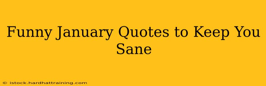 Funny January Quotes to Keep You Sane