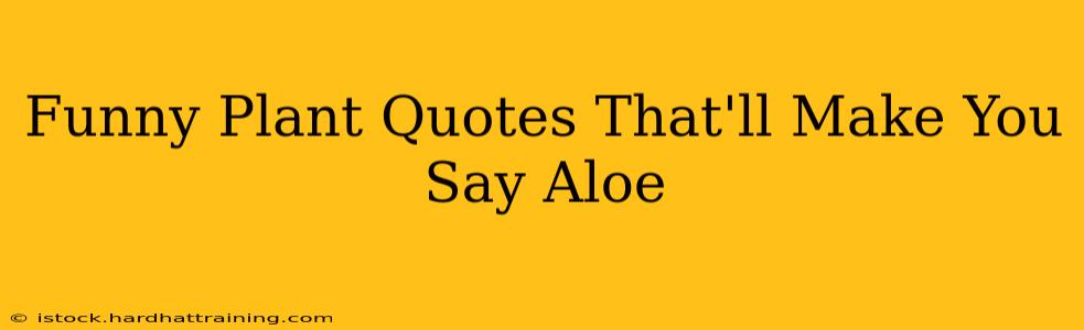 Funny Plant Quotes That'll Make You Say Aloe