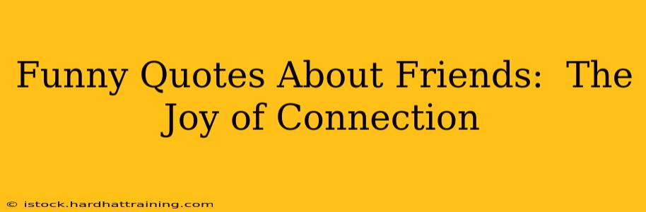 Funny Quotes About Friends:  The Joy of Connection