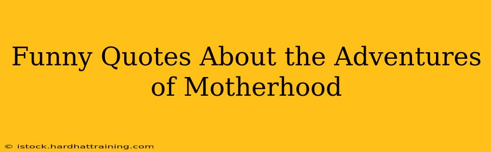 Funny Quotes About the Adventures of Motherhood