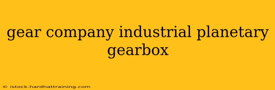 gear company industrial planetary gearbox