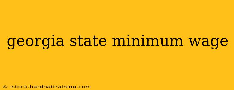 georgia state minimum wage