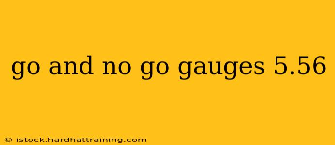 go and no go gauges 5.56