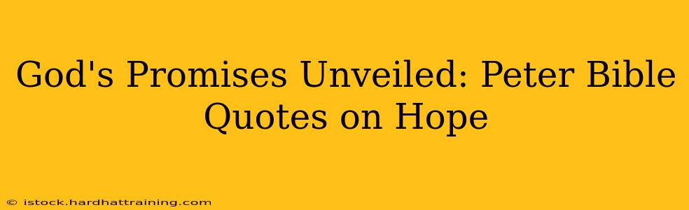 God's Promises Unveiled: Peter Bible Quotes on Hope
