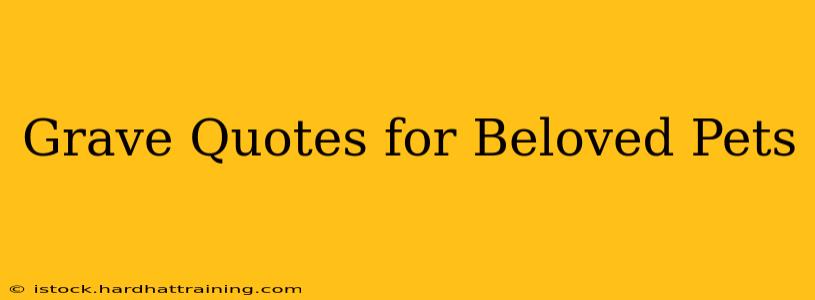Grave Quotes for Beloved Pets
