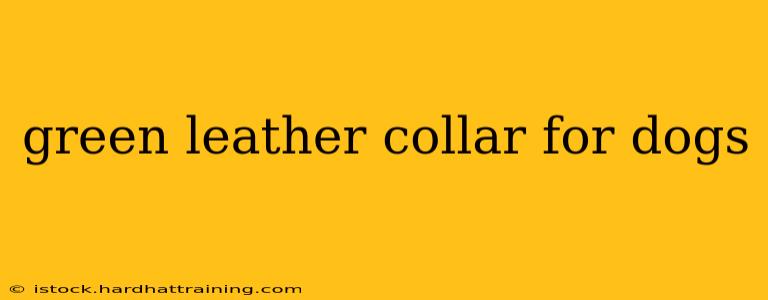 green leather collar for dogs