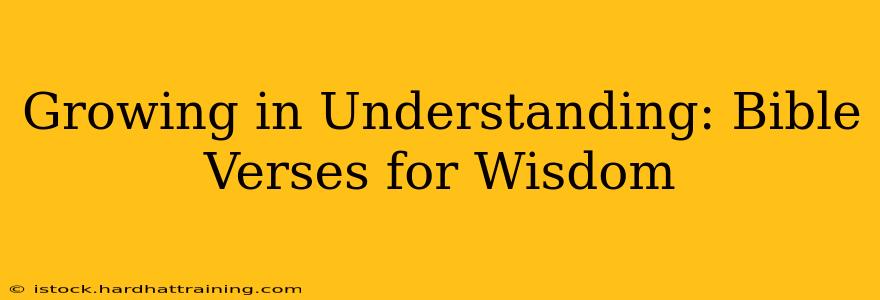 Growing in Understanding: Bible Verses for Wisdom
