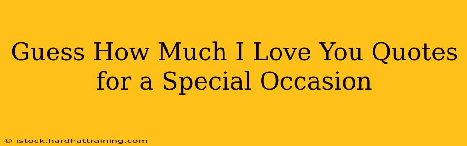 Guess How Much I Love You Quotes for a Special Occasion