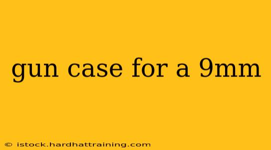 gun case for a 9mm
