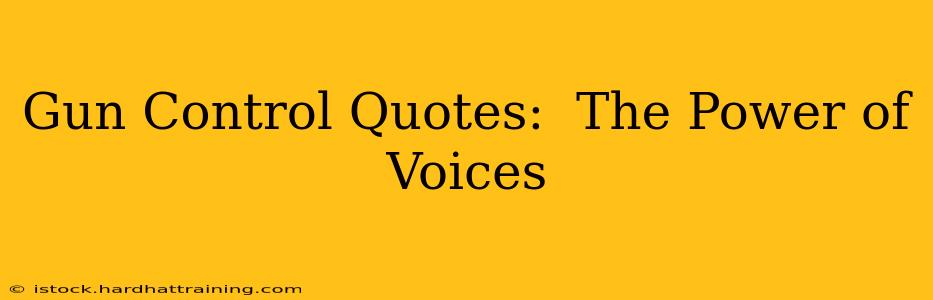 Gun Control Quotes:  The Power of Voices