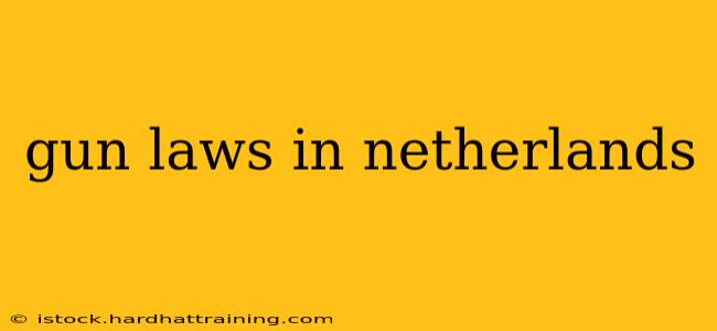 gun laws in netherlands