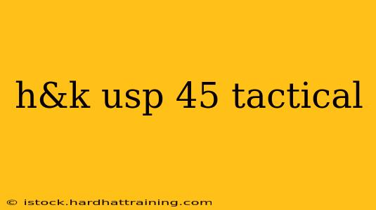 h&k usp 45 tactical
