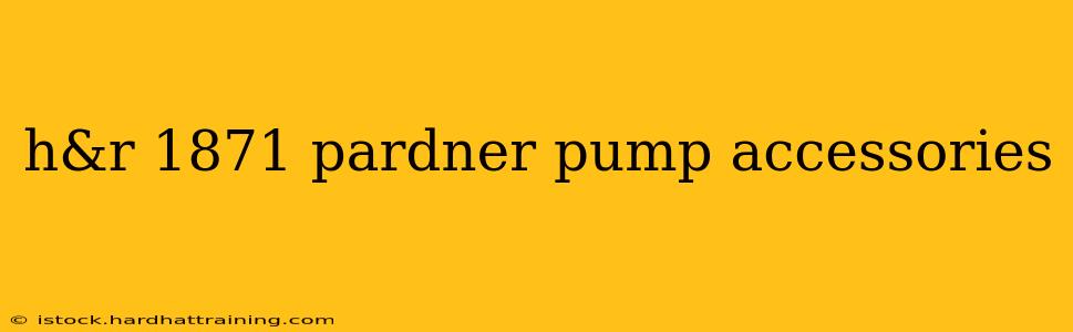 h&r 1871 pardner pump accessories