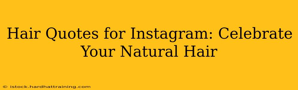 Hair Quotes for Instagram: Celebrate Your Natural Hair