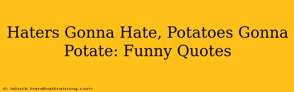Haters Gonna Hate, Potatoes Gonna Potate: Funny Quotes