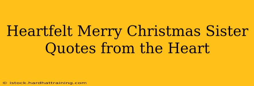 Heartfelt Merry Christmas Sister Quotes from the Heart