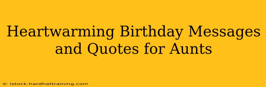 Heartwarming Birthday Messages and Quotes for Aunts