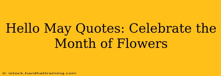 Hello May Quotes: Celebrate the Month of Flowers