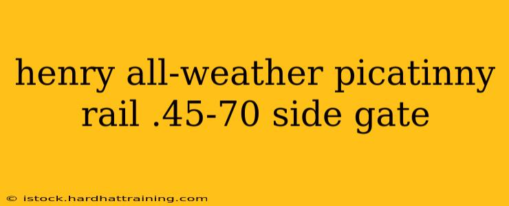henry all-weather picatinny rail .45-70 side gate