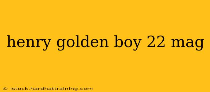 henry golden boy 22 mag