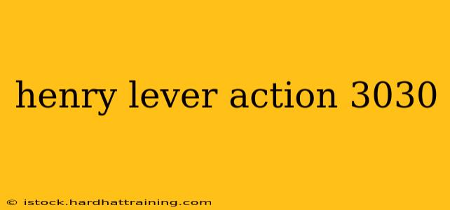 henry lever action 3030