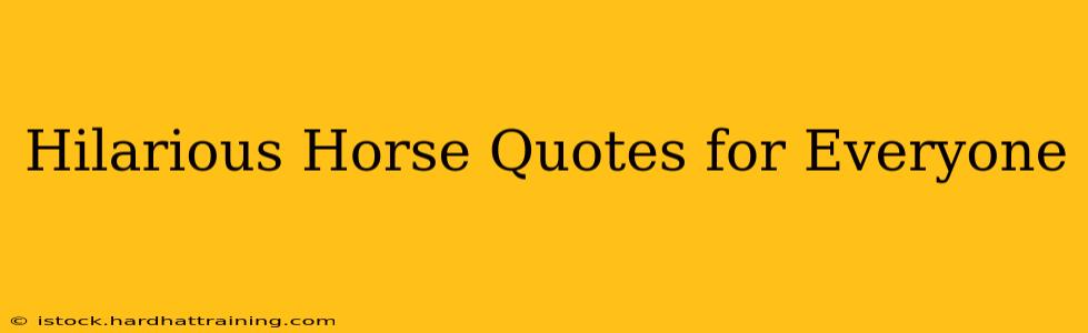 Hilarious Horse Quotes for Everyone