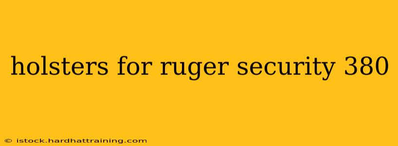 holsters for ruger security 380